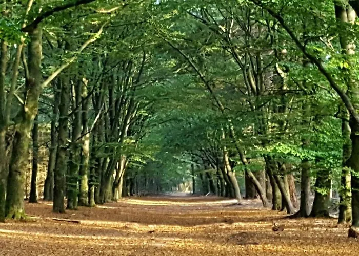 Abs Boerderietje 度假居