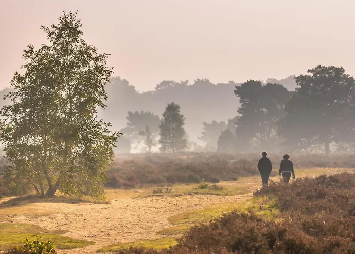 度假居 Abs Boerderietje *