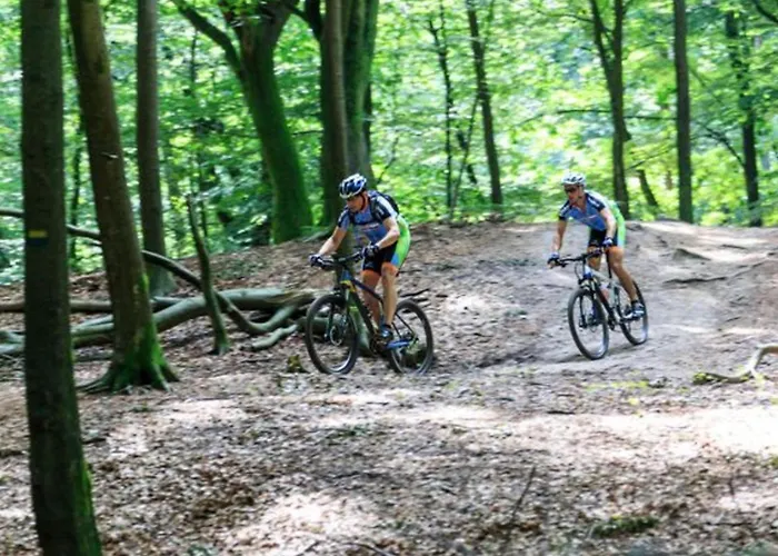 Abs Boerderietje 度假居 皮滕