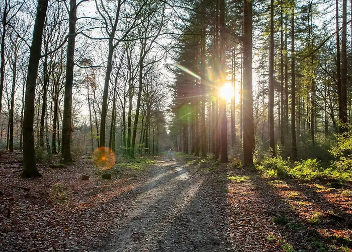 度假居 Abs Boerderietje 皮滕