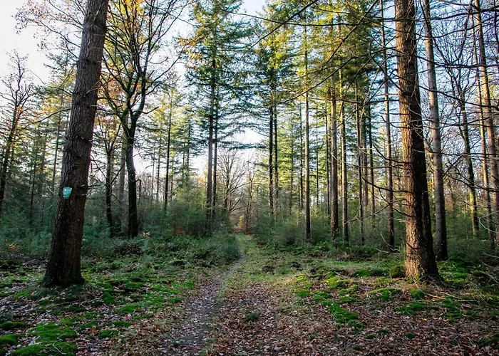Abs Boerderietje 度假居 *