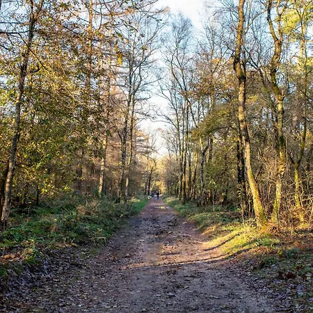 Abs Boerderietje בית נופש פוטן