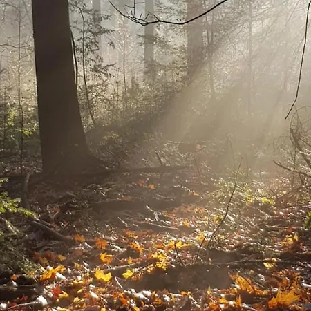 Abs Boerderietje פוטן