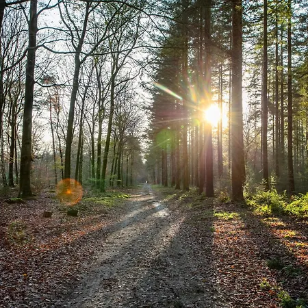 בית נופש Abs Boerderietje פוטן
