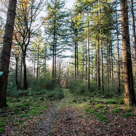Abs Boerderietje בית נופש *