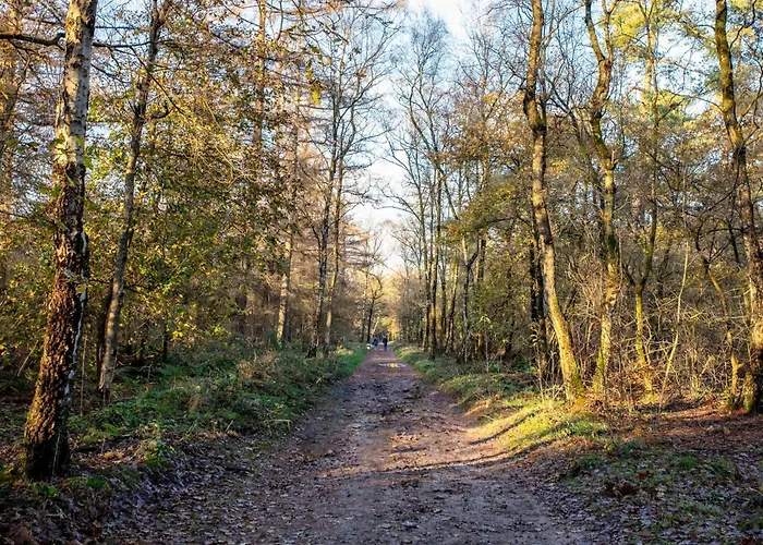 Abs Boerderietje בית נופש פוטן
