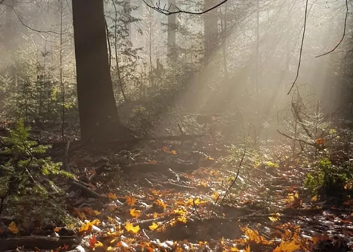 Abs Boerderietje פוטן